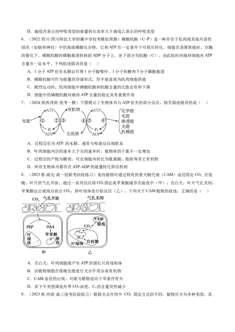 专题02细胞的能量供应与利用（分层练）（原卷版）_新高考复习资料_2024年新高考复习资料_二轮复习资料_高频考点解密2024年高考生物二轮复习高频考点追踪与预测（新高考专用）