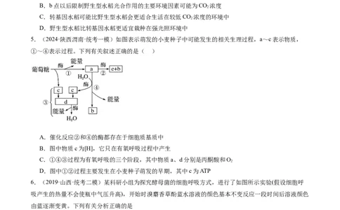 专题02细胞的能量供应与利用（分层练）（原卷版）_新高考复习资料_2024年新高考复习资料_二轮复习资料_高频考点解密2024年高考生物二轮复习高频考点追踪与预测（新高考专用）