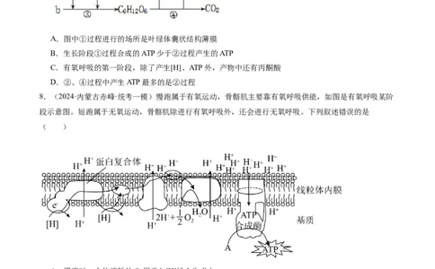 专题02细胞的能量供应与利用（分层练）（原卷版）_新高考复习资料_2024年新高考复习资料_二轮复习资料_高频考点解密2024年高考生物二轮复习高频考点追踪与预测（新高考专用）