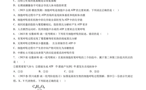 第9讲细胞呼吸（练习）（原卷版）_2024年新高考资料_1.2024一轮复习_2024年高考生物一轮复习讲练测（新教材新高考）