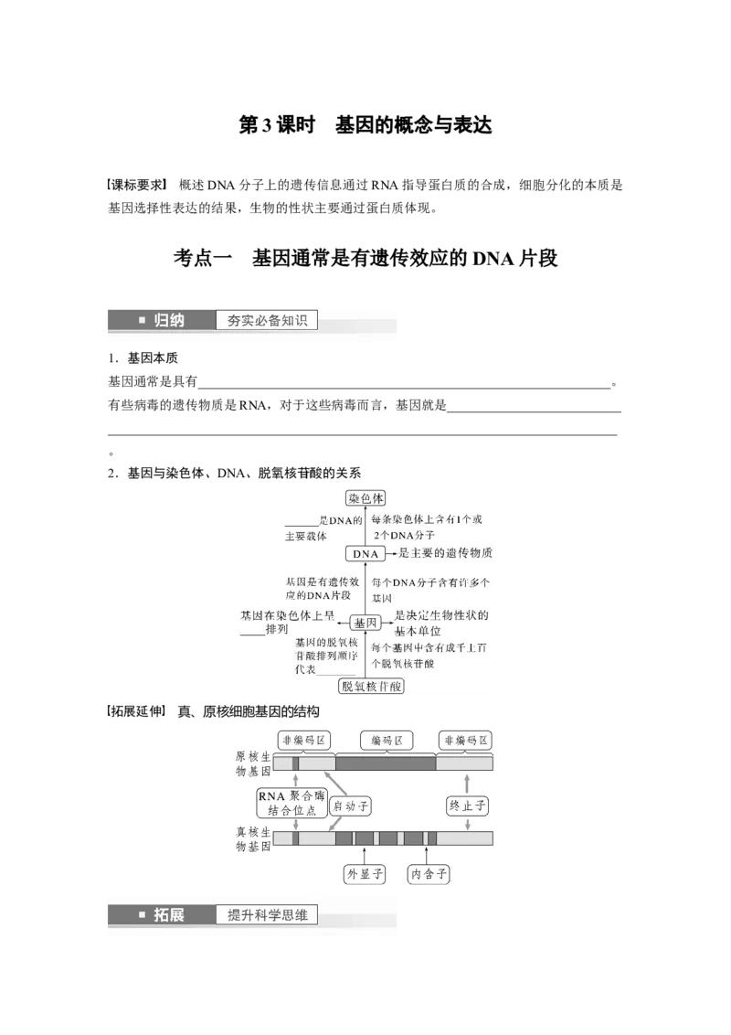 第6单元　第3课时　基因的概念与表达_2024年新高考资料_1.2024一轮复习_2024年高考生物一轮复习讲义（新人教版）_学生版在此文件夹_大一轮复习讲义_第六单元　遗传的物质基础