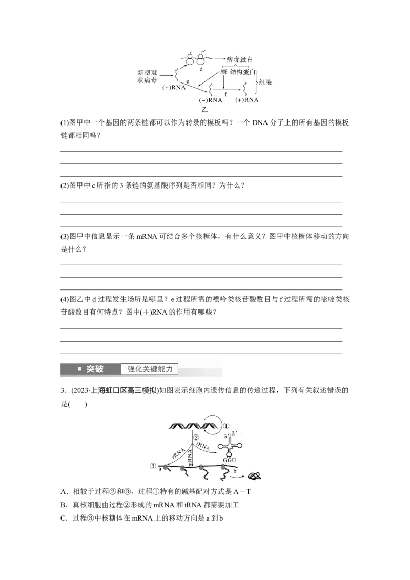 第6单元　第3课时　基因的概念与表达_2024年新高考资料_1.2024一轮复习_2024年高考生物一轮复习讲义（新人教版）_学生版在此文件夹_大一轮复习讲义_第六单元　遗传的物质基础
