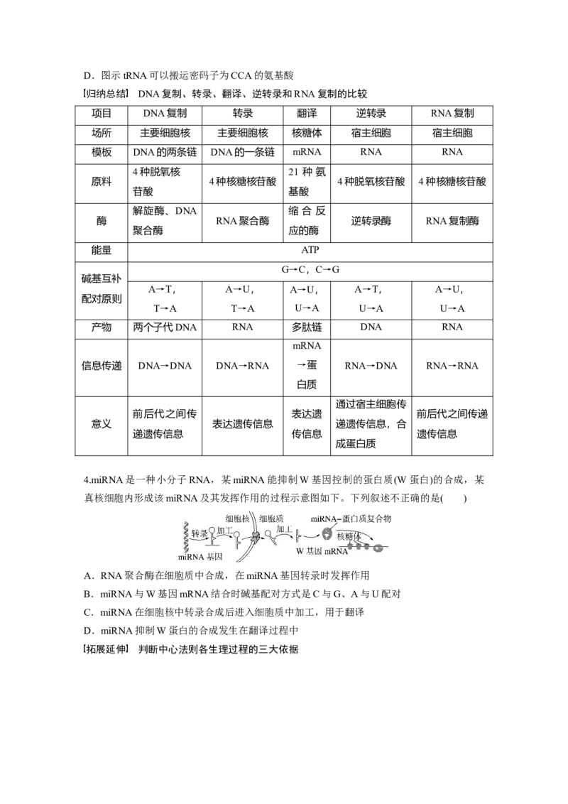 第6单元　第3课时　基因的概念与表达_2024年新高考资料_1.2024一轮复习_2024年高考生物一轮复习讲义（新人教版）_学生版在此文件夹_大一轮复习讲义_第六单元　遗传的物质基础