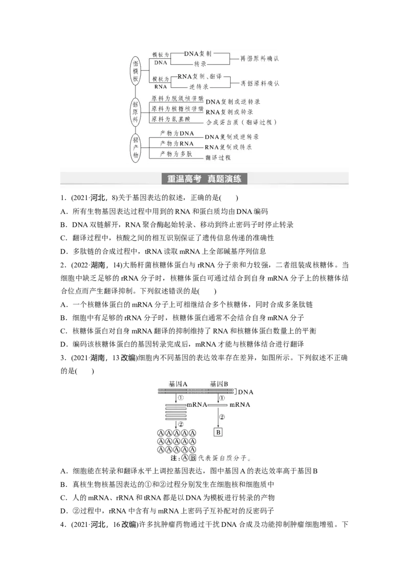 第6单元　第3课时　基因的概念与表达_2024年新高考资料_1.2024一轮复习_2024年高考生物一轮复习讲义（新人教版）_学生版在此文件夹_大一轮复习讲义_第六单元　遗传的物质基础