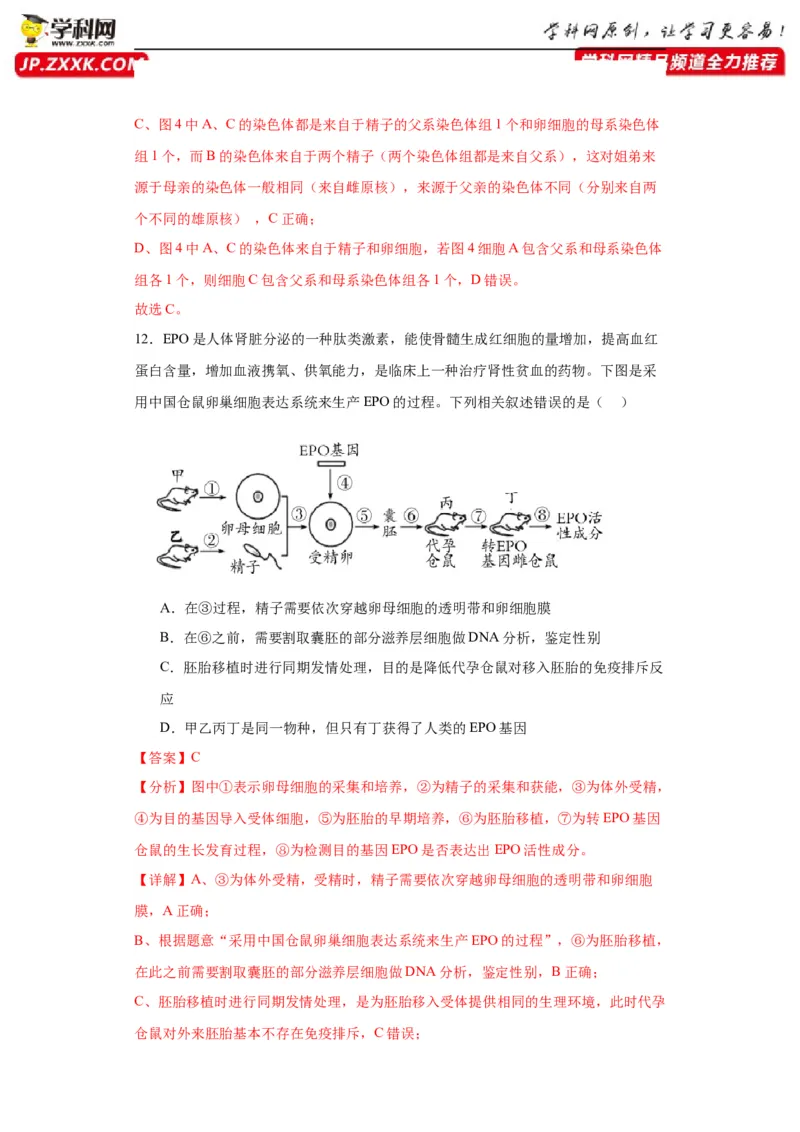 第十单元生物技术与工程（测试卷）（解析版）_2024年新高考资料_3.2024专项复习_备战2024年高考生物一轮复习重难点专项突破