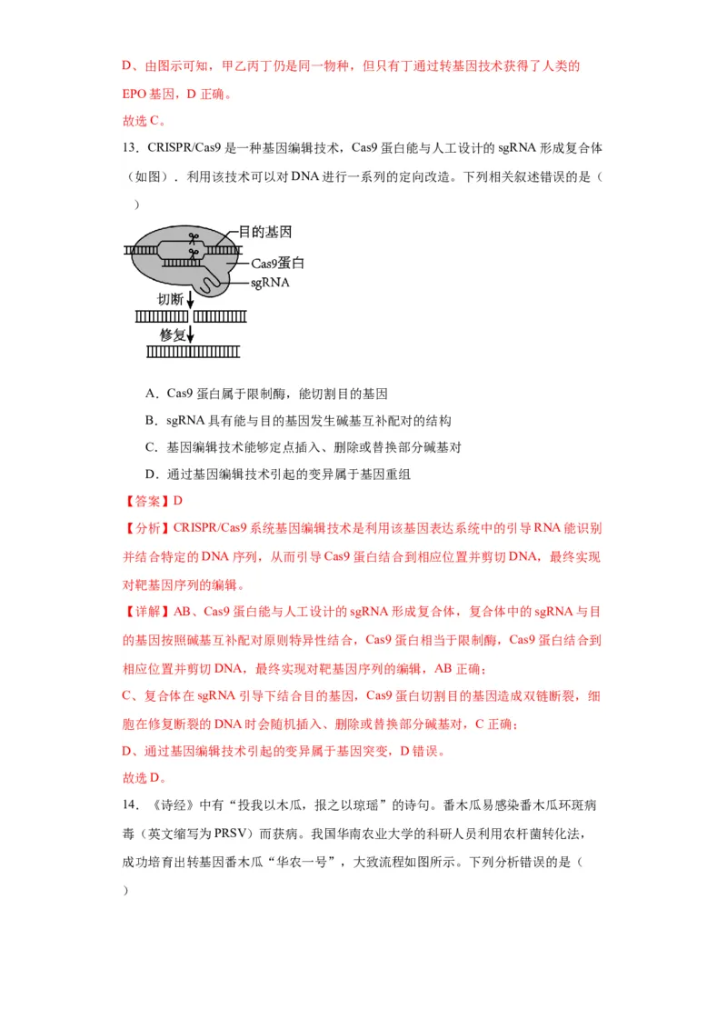 第十单元生物技术与工程（测试卷）（解析版）_2024年新高考资料_3.2024专项复习_备战2024年高考生物一轮复习重难点专项突破