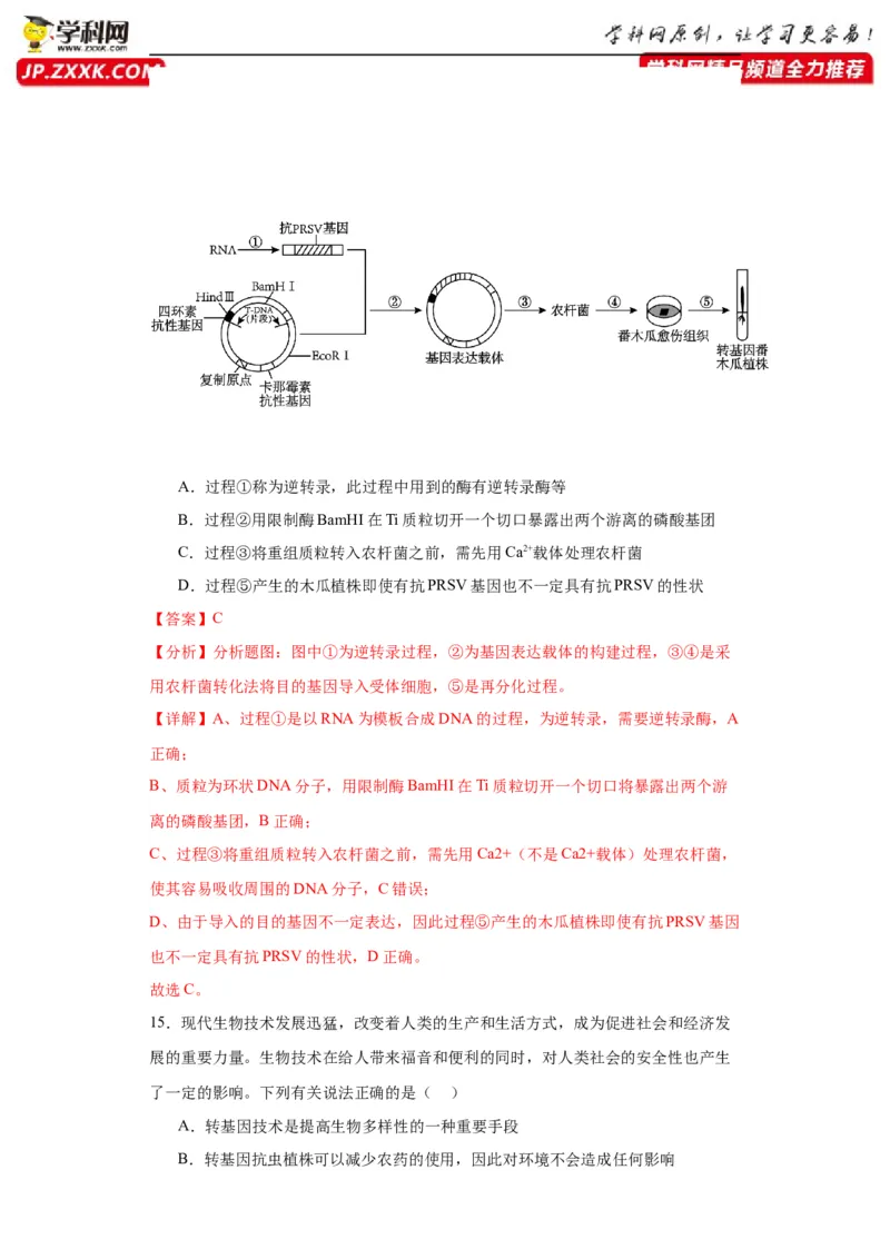 第十单元生物技术与工程（测试卷）（解析版）_2024年新高考资料_3.2024专项复习_备战2024年高考生物一轮复习重难点专项突破