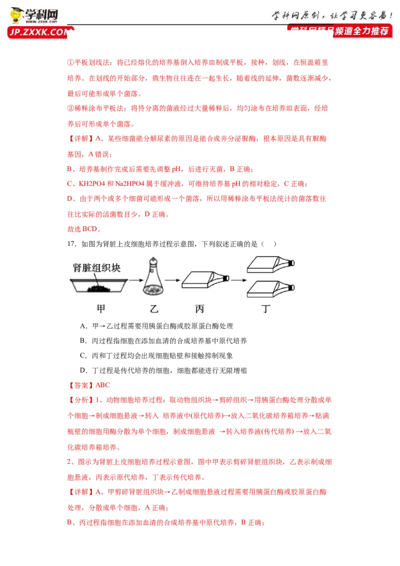 第十单元生物技术与工程（测试卷）（解析版）_2024年新高考资料_3.2024专项复习_备战2024年高考生物一轮复习重难点专项突破