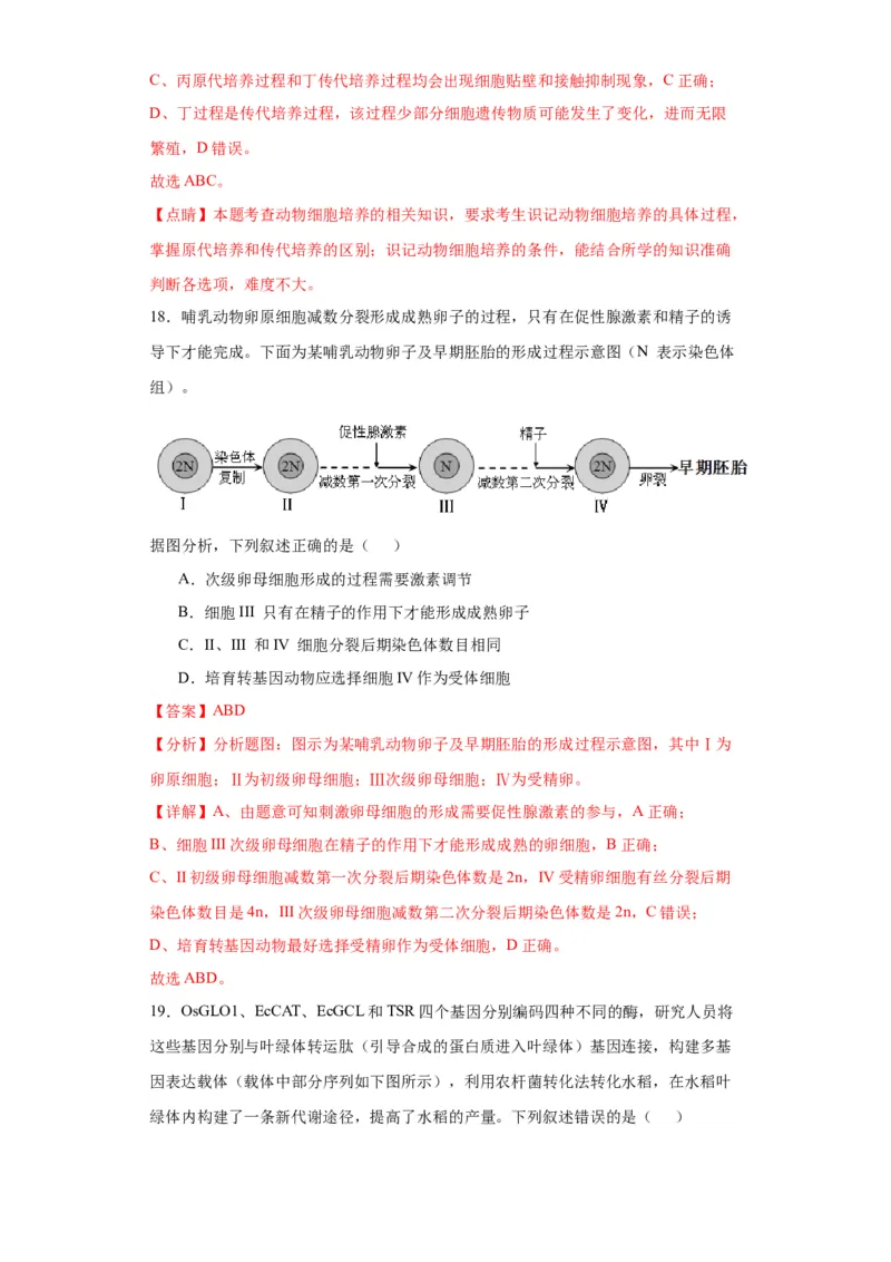 第十单元生物技术与工程（测试卷）（解析版）_2024年新高考资料_3.2024专项复习_备战2024年高考生物一轮复习重难点专项突破