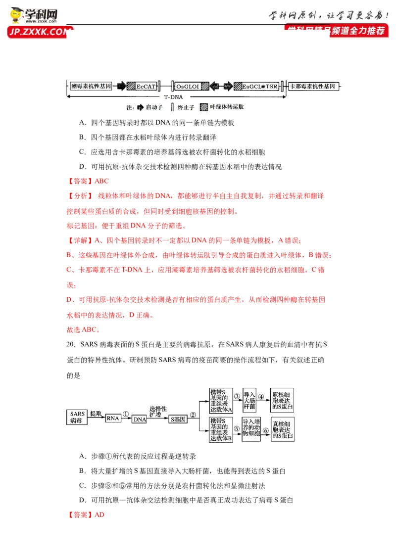 第十单元生物技术与工程（测试卷）（解析版）_2024年新高考资料_3.2024专项复习_备战2024年高考生物一轮复习重难点专项突破