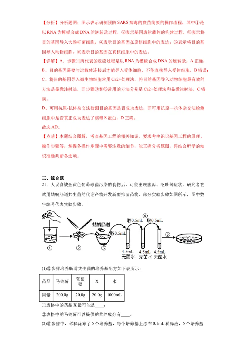 第十单元生物技术与工程（测试卷）（解析版）_2024年新高考资料_3.2024专项复习_备战2024年高考生物一轮复习重难点专项突破