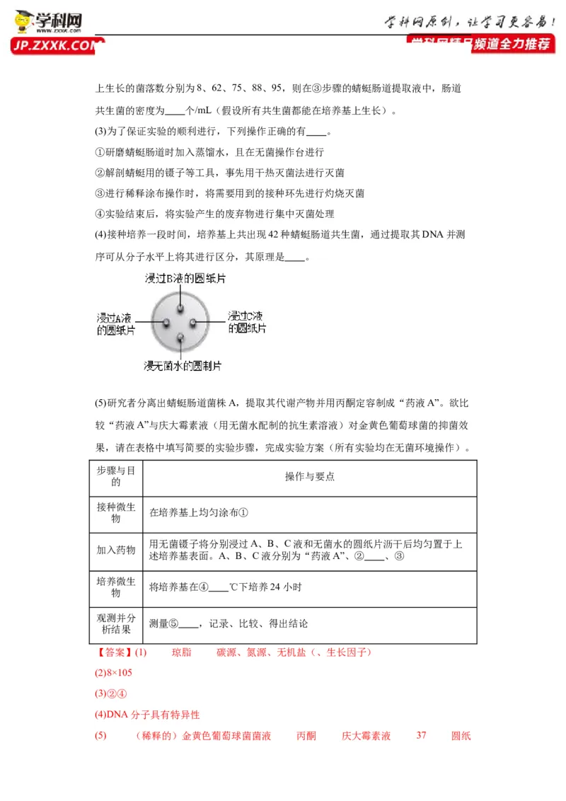 第十单元生物技术与工程（测试卷）（解析版）_2024年新高考资料_3.2024专项复习_备战2024年高考生物一轮复习重难点专项突破