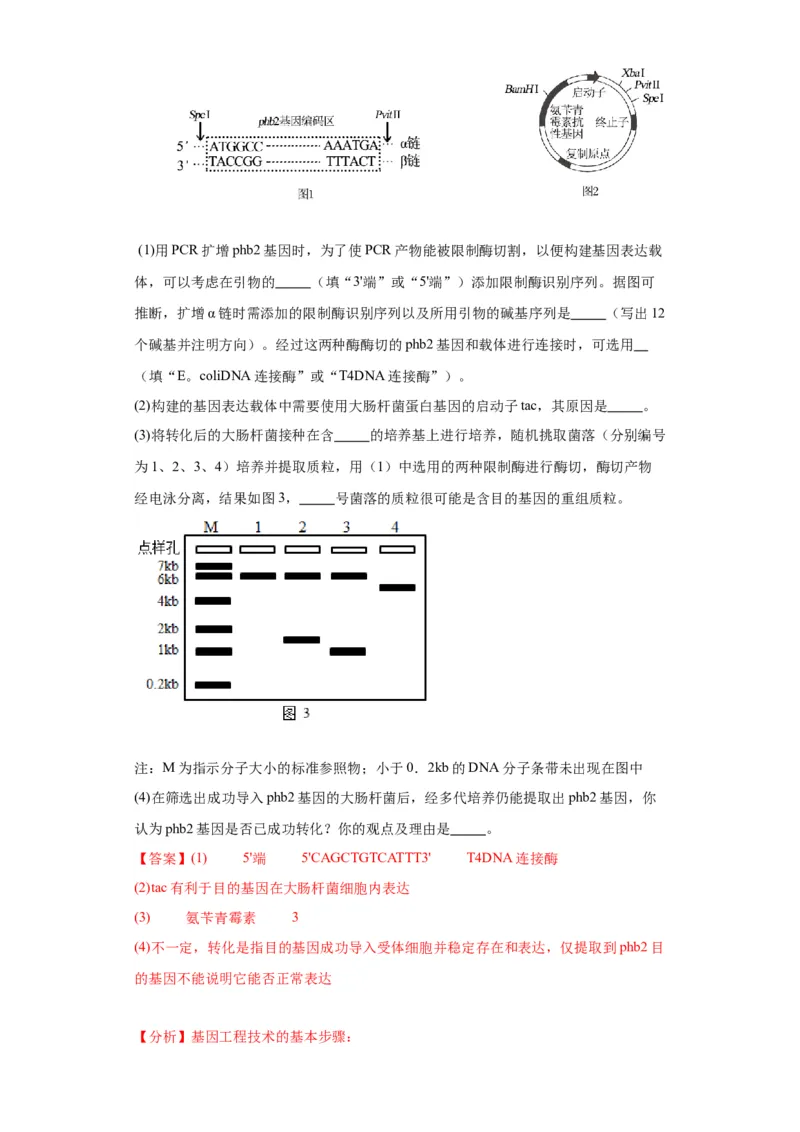 第十单元生物技术与工程（测试卷）（解析版）_2024年新高考资料_3.2024专项复习_备战2024年高考生物一轮复习重难点专项突破
