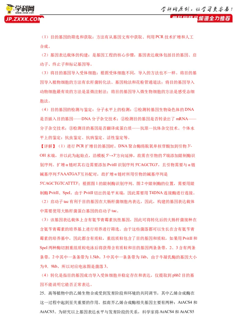 第十单元生物技术与工程（测试卷）（解析版）_2024年新高考资料_3.2024专项复习_备战2024年高考生物一轮复习重难点专项突破