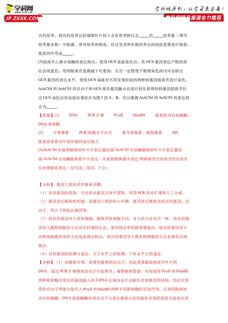 第十单元生物技术与工程（测试卷）（解析版）_2024年新高考资料_3.2024专项复习_备战2024年高考生物一轮复习重难点专项突破