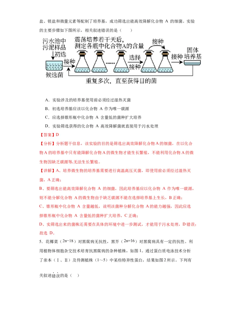 第十单元生物技术与工程（测试卷）（解析版）_2024年新高考资料_3.2024专项复习_备战2024年高考生物一轮复习重难点专项突破