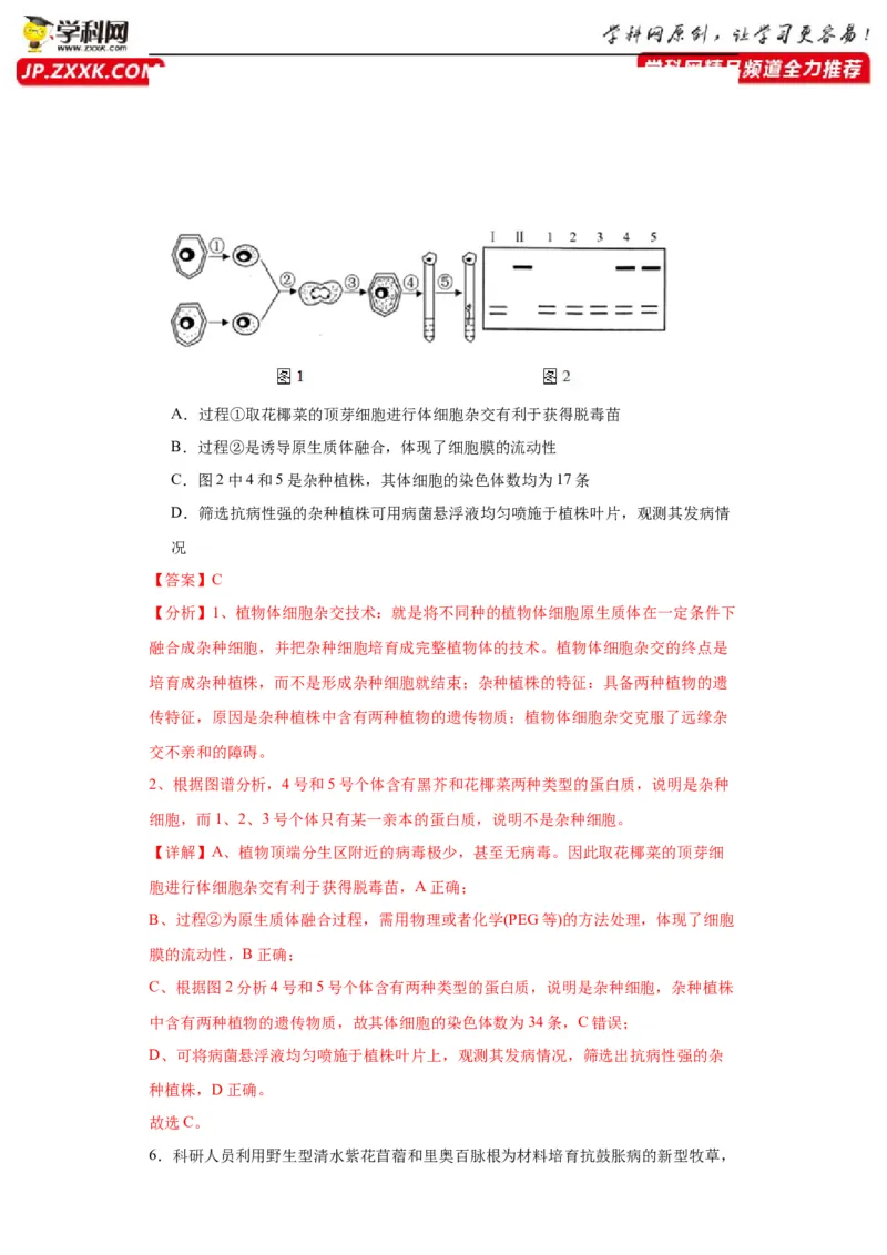 第十单元生物技术与工程（测试卷）（解析版）_2024年新高考资料_3.2024专项复习_备战2024年高考生物一轮复习重难点专项突破