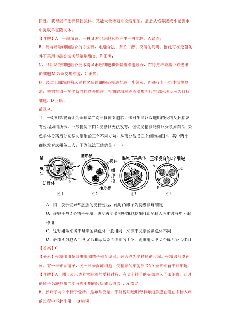 第十单元生物技术与工程（测试卷）（解析版）_2024年新高考资料_3.2024专项复习_备战2024年高考生物一轮复习重难点专项突破