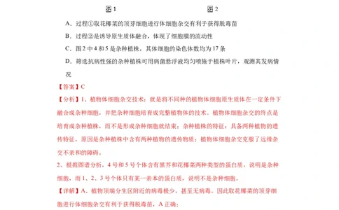 第十单元生物技术与工程（测试卷）（解析版）_2024年新高考资料_3.2024专项复习_备战2024年高考生物一轮复习重难点专项突破