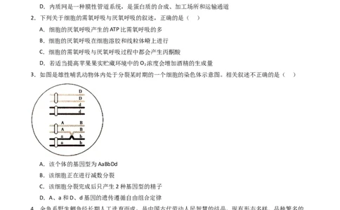 黄金卷01（新教材理综）-赢在高考&middot;黄金8卷备战2024年高考生物模拟卷（全国卷专用）（考试版）_2024年新高考资料_4.2024高考模拟预测试卷