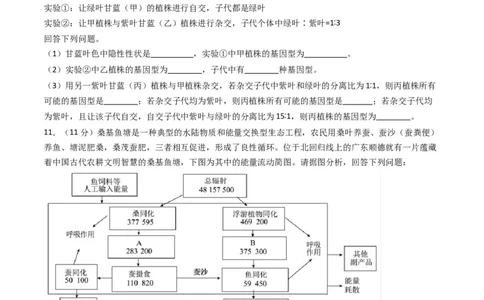 黄金卷01（新教材理综）-赢在高考&middot;黄金8卷备战2024年高考生物模拟卷（全国卷专用）（考试版）_2024年新高考资料_4.2024高考模拟预测试卷