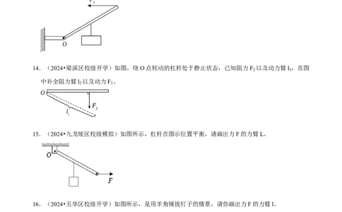 2025年中考物理复习难题速递之力学作图_8、物理总复习_2025年中考复习资料_2025年中考物理复习难题速递