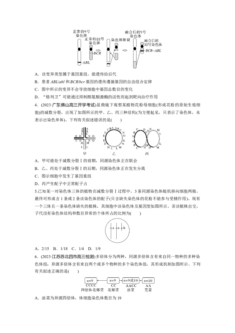 第7单元　课时练2　染色体变异_2024年新高考资料_1.2024一轮复习_2024年高考生物一轮复习讲义（新人教版）_学生版在此文件夹_一轮复习69练_第七单元　生物的变异和进化