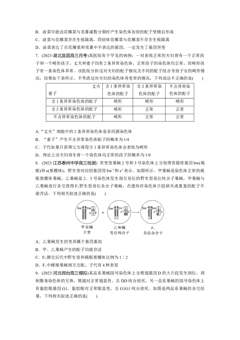 第7单元　课时练2　染色体变异_2024年新高考资料_1.2024一轮复习_2024年高考生物一轮复习讲义（新人教版）_学生版在此文件夹_一轮复习69练_第七单元　生物的变异和进化