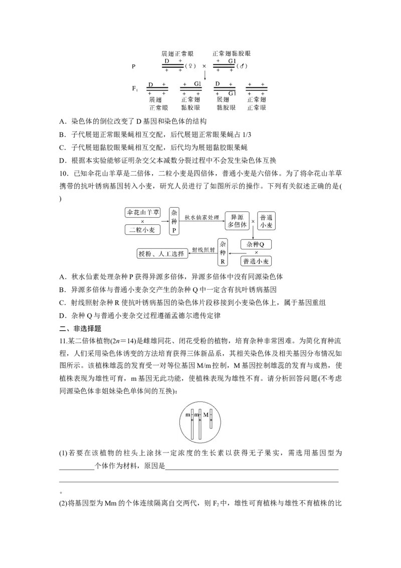 第7单元　课时练2　染色体变异_2024年新高考资料_1.2024一轮复习_2024年高考生物一轮复习讲义（新人教版）_学生版在此文件夹_一轮复习69练_第七单元　生物的变异和进化