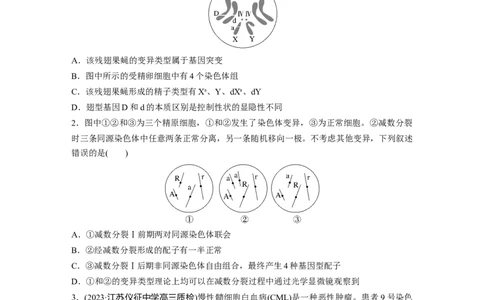第7单元　课时练2　染色体变异_2024年新高考资料_1.2024一轮复习_2024年高考生物一轮复习讲义（新人教版）_学生版在此文件夹_一轮复习69练_第七单元　生物的变异和进化