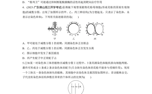 第7单元　课时练2　染色体变异_2024年新高考资料_1.2024一轮复习_2024年高考生物一轮复习讲义（新人教版）_学生版在此文件夹_一轮复习69练_第七单元　生物的变异和进化