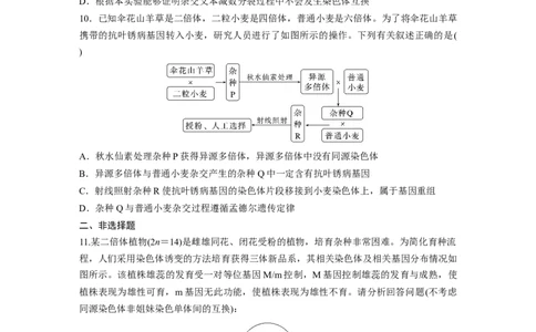 第7单元　课时练2　染色体变异_2024年新高考资料_1.2024一轮复习_2024年高考生物一轮复习讲义（新人教版）_学生版在此文件夹_一轮复习69练_第七单元　生物的变异和进化