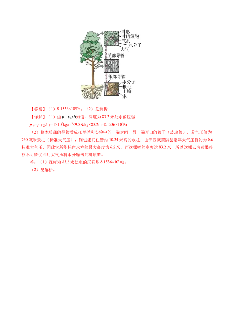 9.4跨学科实践：制作简易活塞式抽水机（分层作业）解析版_初物_八年级上下册+九年级全一册物理_八年级物理下册_分层作业（更新中）