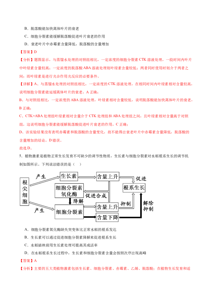 考点通关卷30植物生命活动调节（解析版）_2024年新高考资料_1.2024一轮复习_2024年高考生物一轮复习考点通关卷（新高考通用）