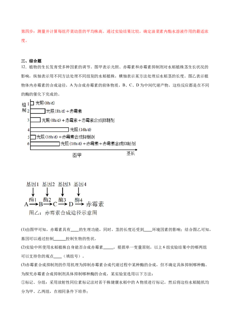 考点通关卷30植物生命活动调节（解析版）_2024年新高考资料_1.2024一轮复习_2024年高考生物一轮复习考点通关卷（新高考通用）