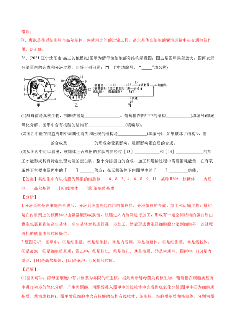 专题01细胞的结构与分子组成-2021年高考生物真题与模拟题分类训练（教师版含解析）_新高考复习资料_2023年新高考复习资料_一轮复习_2023年新高考大一轮复习讲义