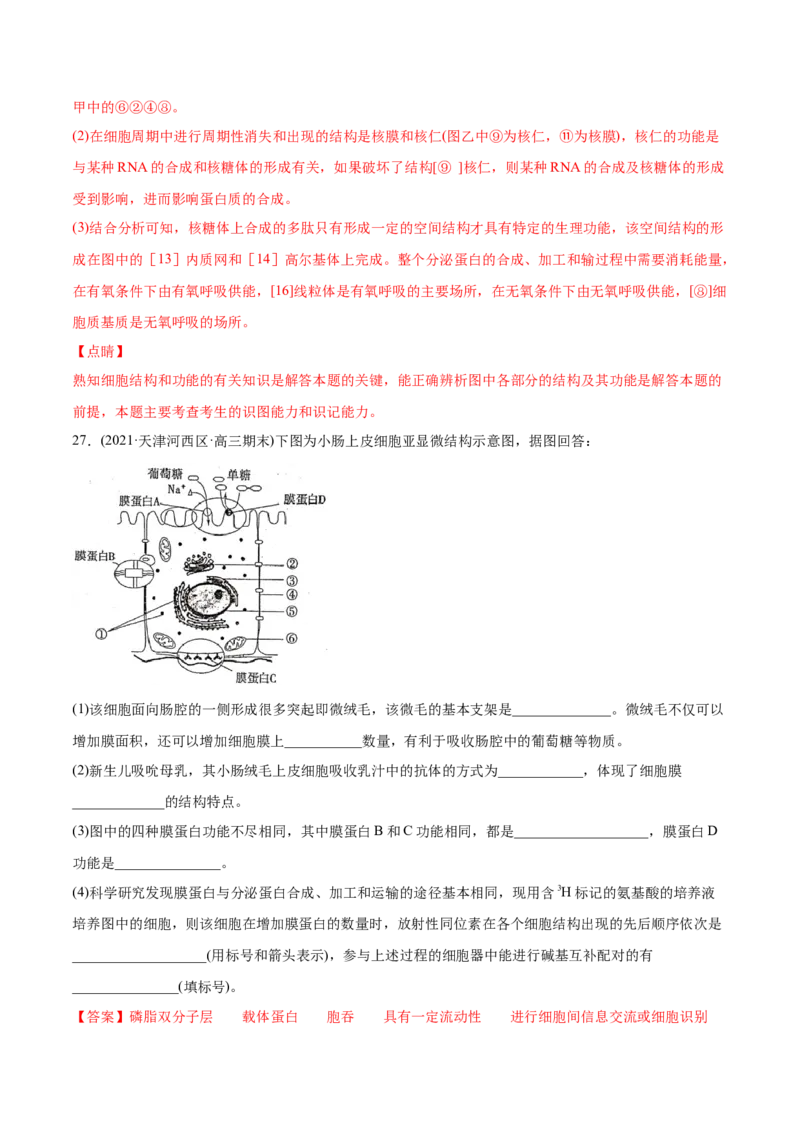 专题01细胞的结构与分子组成-2021年高考生物真题与模拟题分类训练（教师版含解析）_新高考复习资料_2023年新高考复习资料_一轮复习_2023年新高考大一轮复习讲义