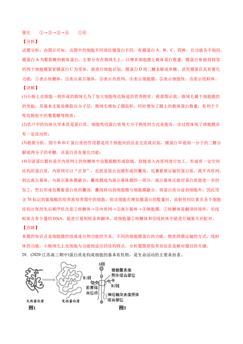 专题01细胞的结构与分子组成-2021年高考生物真题与模拟题分类训练（教师版含解析）_新高考复习资料_2023年新高考复习资料_一轮复习_2023年新高考大一轮复习讲义