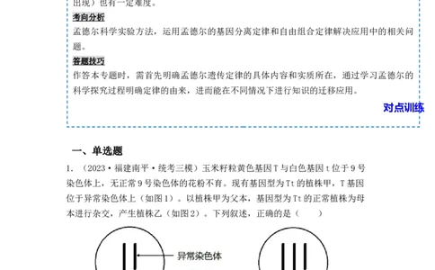 专题06基因的分离定律和自由组合定律（解析版）_新高考复习资料_2024年新高考复习资料_一轮复习资料_完备战2024年高考生物一轮复习重难点突破讲解与训练（新教材）