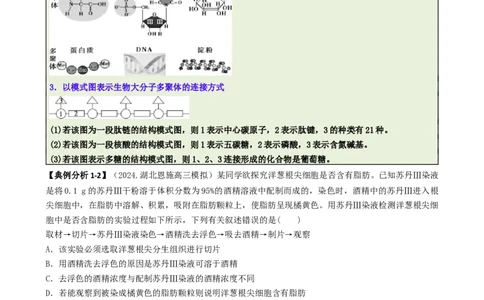 专题02信息提取型选择题（解析版）_2025年新高考资料_二轮复习_2025年高考生物二轮热点题型归纳与变式演练（新高考通用）3404350