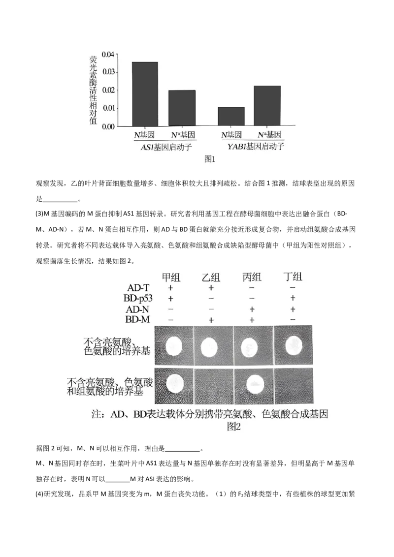 黄金卷01（解析版）-赢在高考&middot;黄金8卷备战2024年高考生物模拟卷（北京专用）_2024年新高考资料_4.2024高考模拟预测试卷