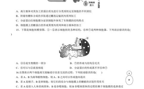 专题02细胞的结构和功能（测试卷）-2023年高考生物二轮复习讲练测（全国通用）（原卷版）_通用版（老高考）复习资料_2023年复习资料_二轮复习