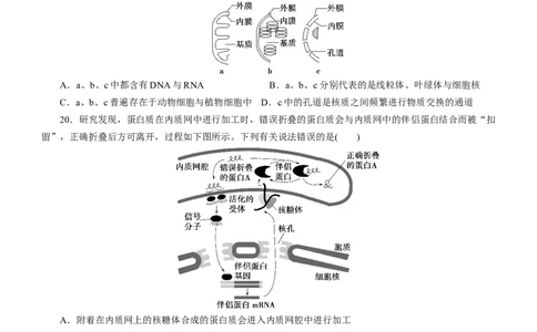 专题02细胞的结构和功能（测试卷）-2023年高考生物二轮复习讲练测（全国通用）（原卷版）_通用版（老高考）复习资料_2023年复习资料_二轮复习