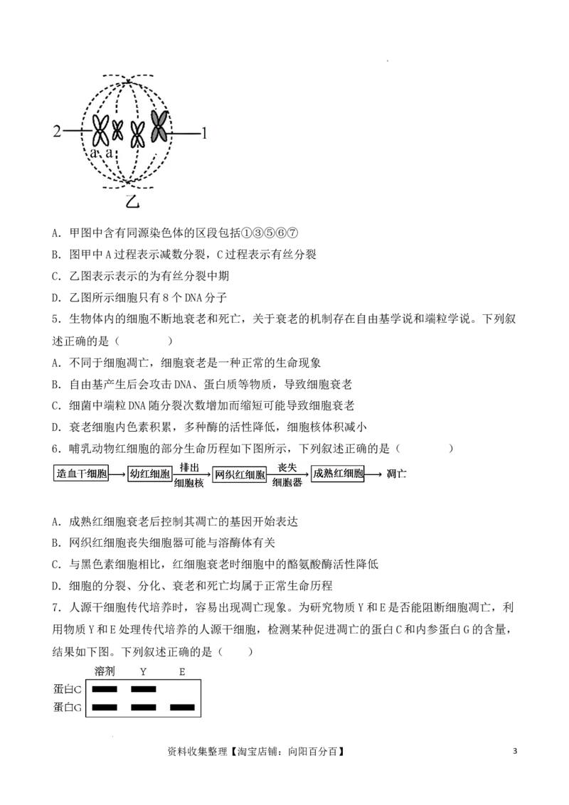 专题05细胞的生命历程（包括减数分裂）（原卷版）_新高考复习资料_2024年新高考复习资料_一轮复习资料_完备战2024年高考生物一轮复习重难点突破讲解与训练（新教材）