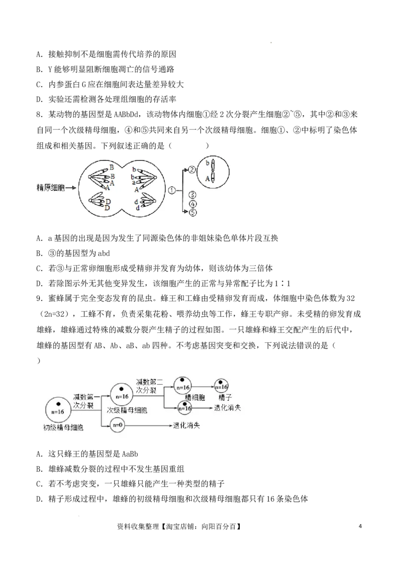 专题05细胞的生命历程（包括减数分裂）（原卷版）_新高考复习资料_2024年新高考复习资料_一轮复习资料_完备战2024年高考生物一轮复习重难点突破讲解与训练（新教材）