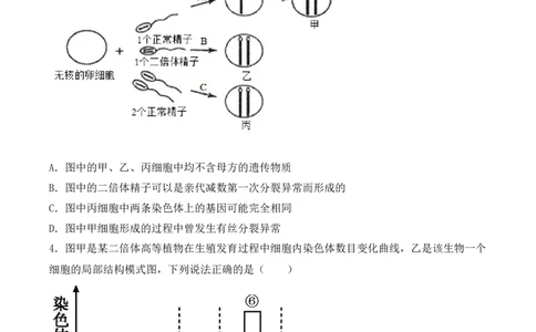 专题05细胞的生命历程（包括减数分裂）（原卷版）_新高考复习资料_2024年新高考复习资料_一轮复习资料_完备战2024年高考生物一轮复习重难点突破讲解与训练（新教材）