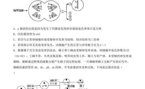 专题05细胞的生命历程（包括减数分裂）（原卷版）_新高考复习资料_2024年新高考复习资料_一轮复习资料_完备战2024年高考生物一轮复习重难点突破讲解与训练（新教材）