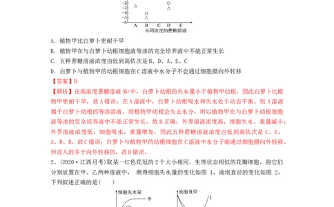 专题06细胞的物质输入和输出（精练）（解析版）_新高考复习资料_2024年新高考复习资料_一轮复习资料_完备战2024年高考生物一轮复习串讲精练（新高考专用）_精练_解析版