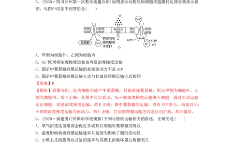 专题06细胞的物质输入和输出（精练）（解析版）_新高考复习资料_2024年新高考复习资料_一轮复习资料_完备战2024年高考生物一轮复习串讲精练（新高考专用）_精练_解析版