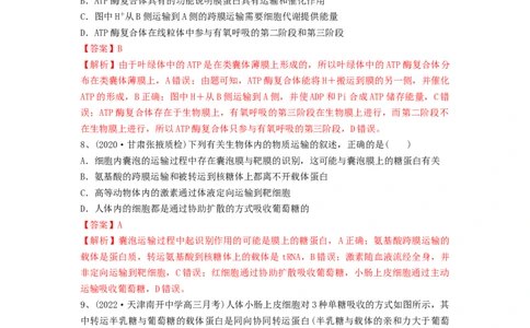 专题06细胞的物质输入和输出（精练）（解析版）_新高考复习资料_2024年新高考复习资料_一轮复习资料_完备战2024年高考生物一轮复习串讲精练（新高考专用）_精练_解析版
